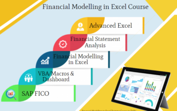 Financial Modeling Certification Course in Delhi.1