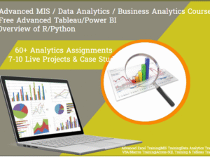How an Business Analytics Course Can Secure Your
