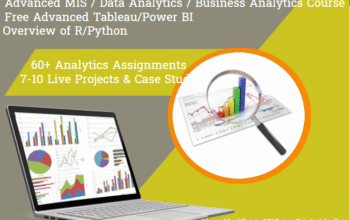 How an Business Analytics Course Can Secure Your