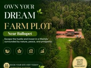 Farm Land for Sale in Kanakapura Road beginest