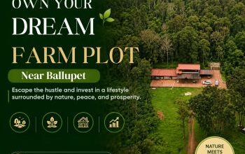 Farm Land for Sale in Kanakapura Road beginest