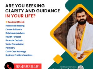 Best Astrologer in Basavanagudi — Raghavendra Josh